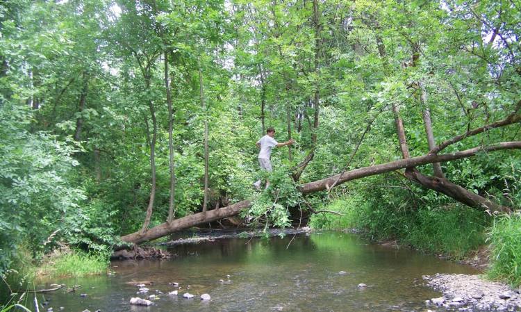 mccormick park st. helens oregon columbia county