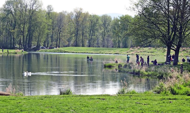Trojan Park Lake Columbia County Oregon