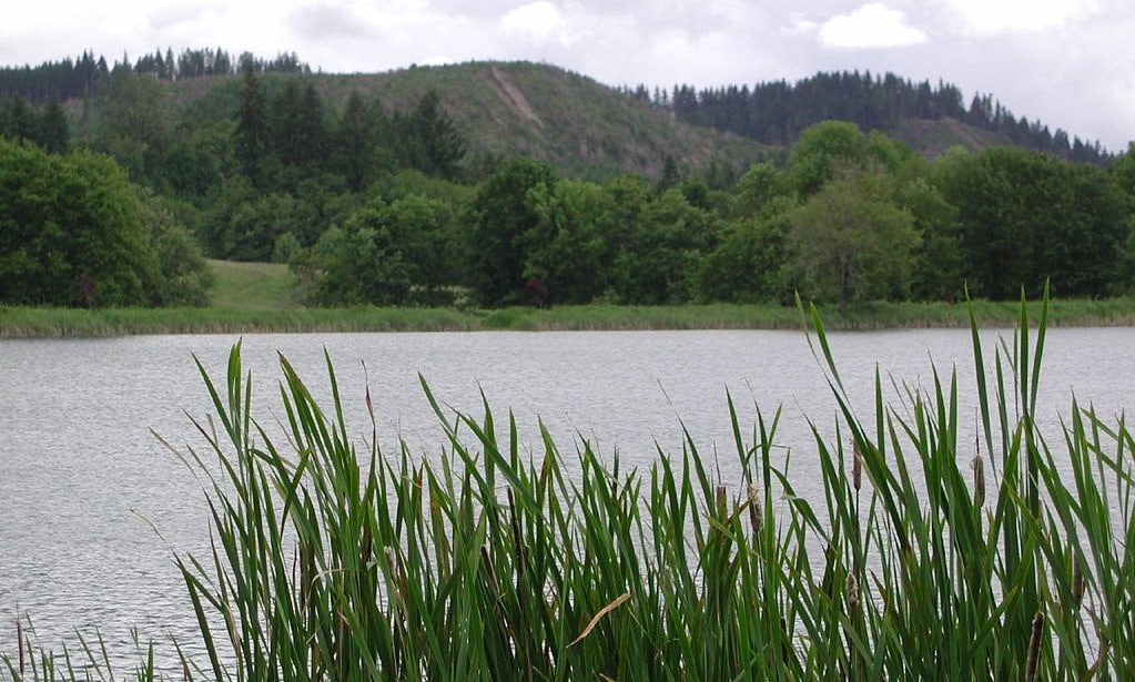 Vernonia Lake columbia County oregon