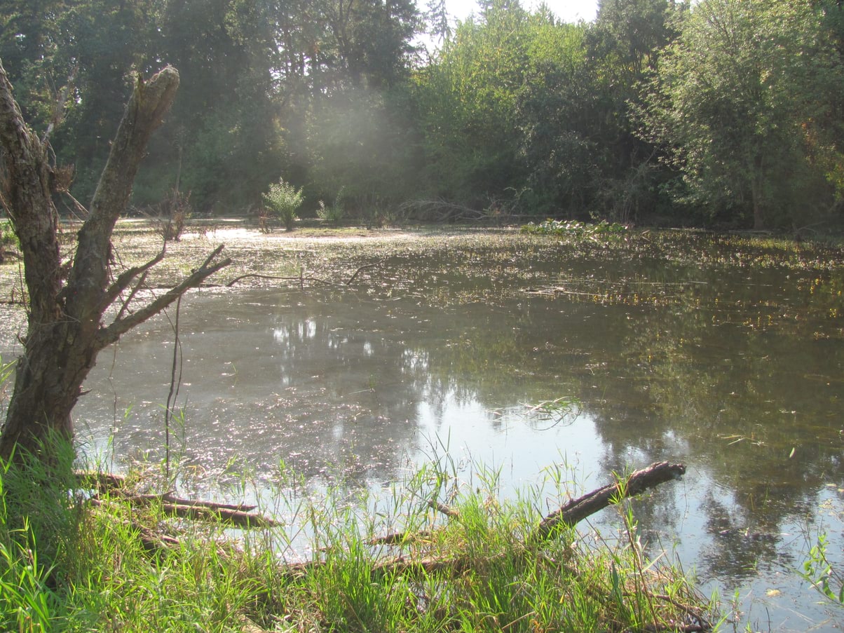 dalton lake st. helens columbia city bike trail oregon