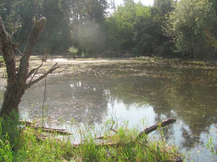 dalton lake st. helens columbia city bike trail oregon