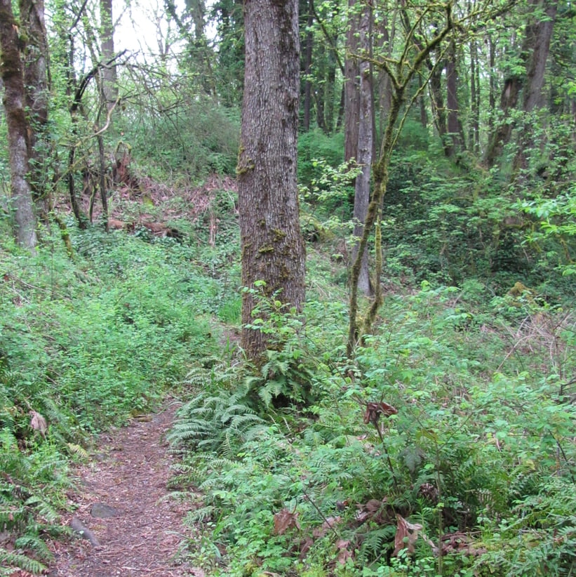columbia nature trail columbia botanical gardens st. helens oregon