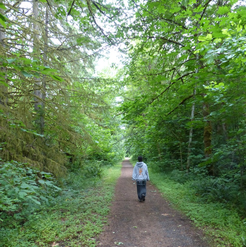 cz trail crown z nehalem divide trailhead to wilark vernonia pittsburgh oregon