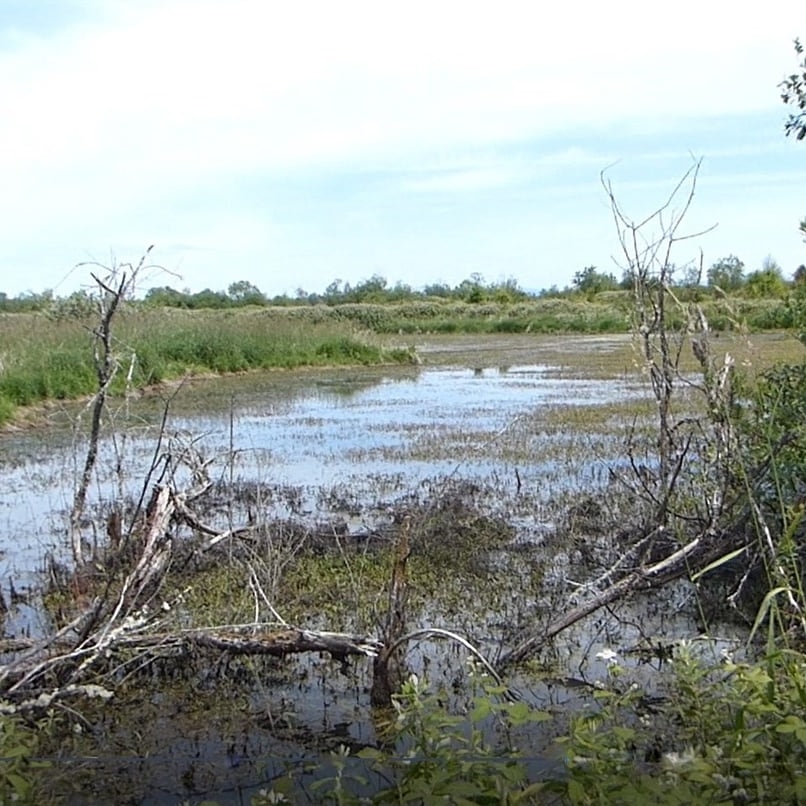 crown z cz trail scappoose chapman landing oregon