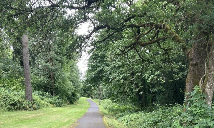 dalton lake st. helens columbia city bike trail oregon