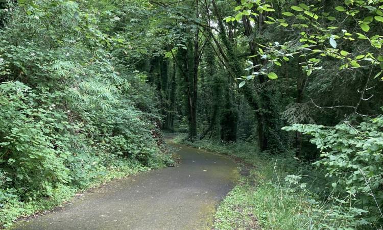 dalton lake st. helens columbia city bike trail oregon