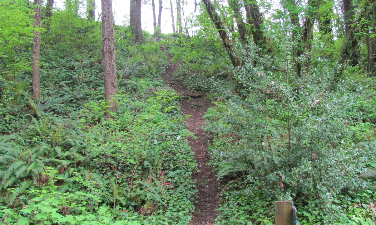 Columbia Botanical Gardens Nature Trail St. Helens Oregon