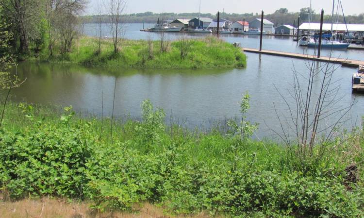 Scappoose Bay Marine Park Marina Columbia County oregon