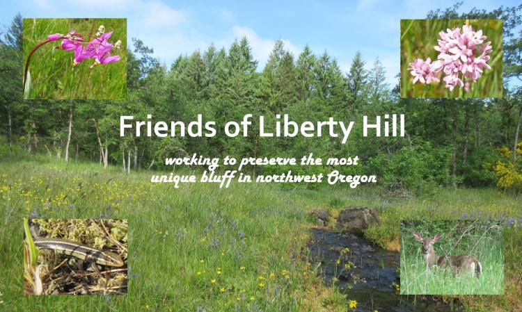 friends of liberty hill bluff conservation camas meadow oregon