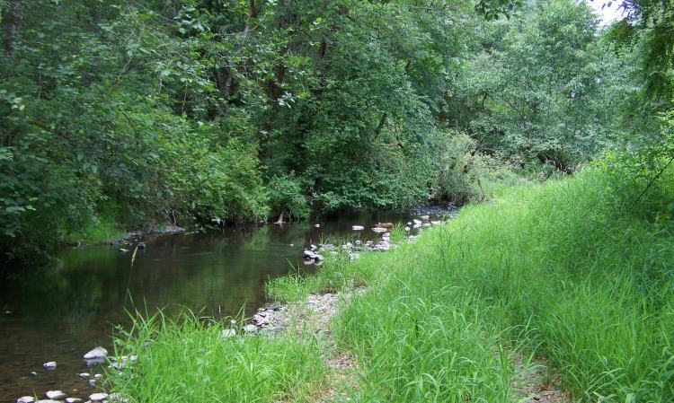 hiking wildlife of columbia county oregon mccormick park