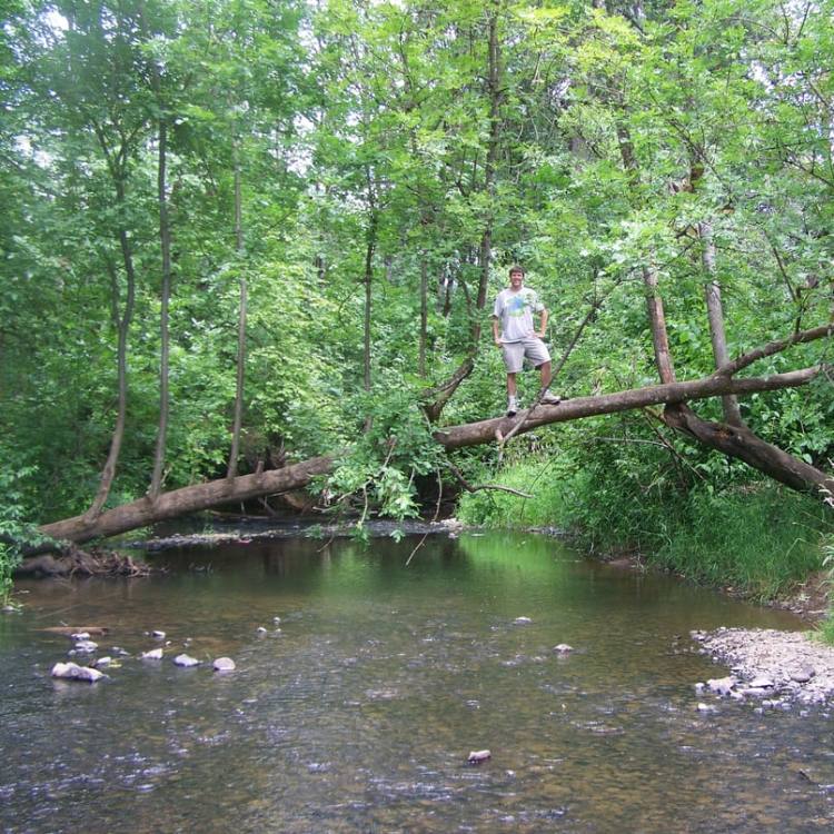 mccormick park mcnulty creek st. helens oregon