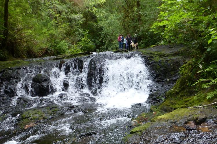 barrier falls gnat creek trail oregon