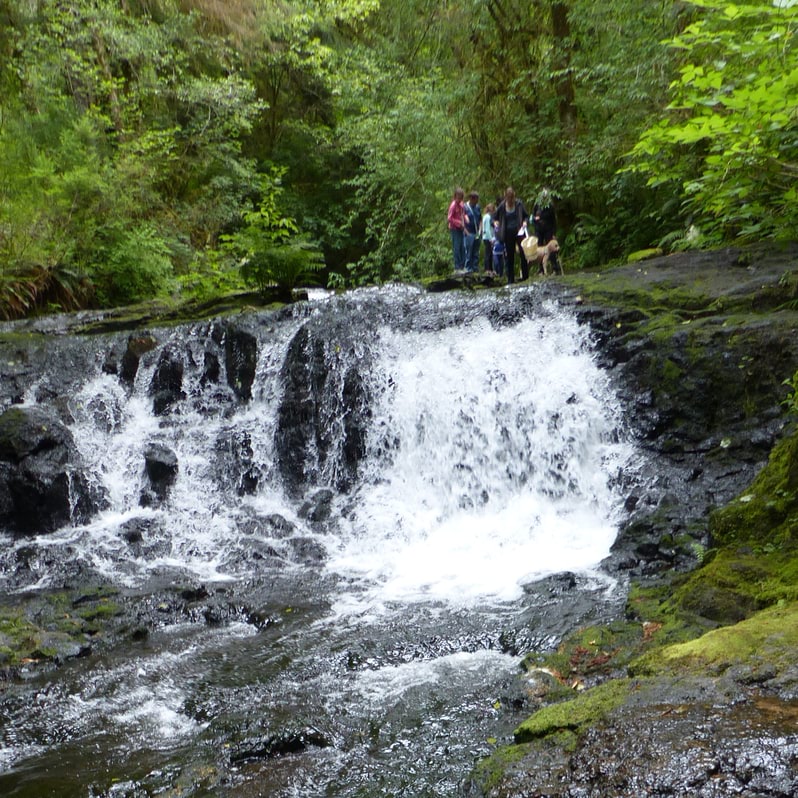 gnat creek trail barrier falls clatskanie oregon