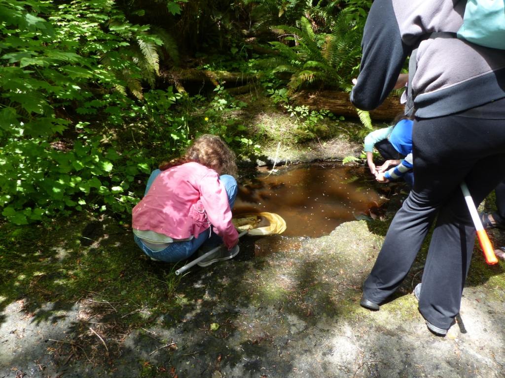 gnat creek oregon hatchery trail