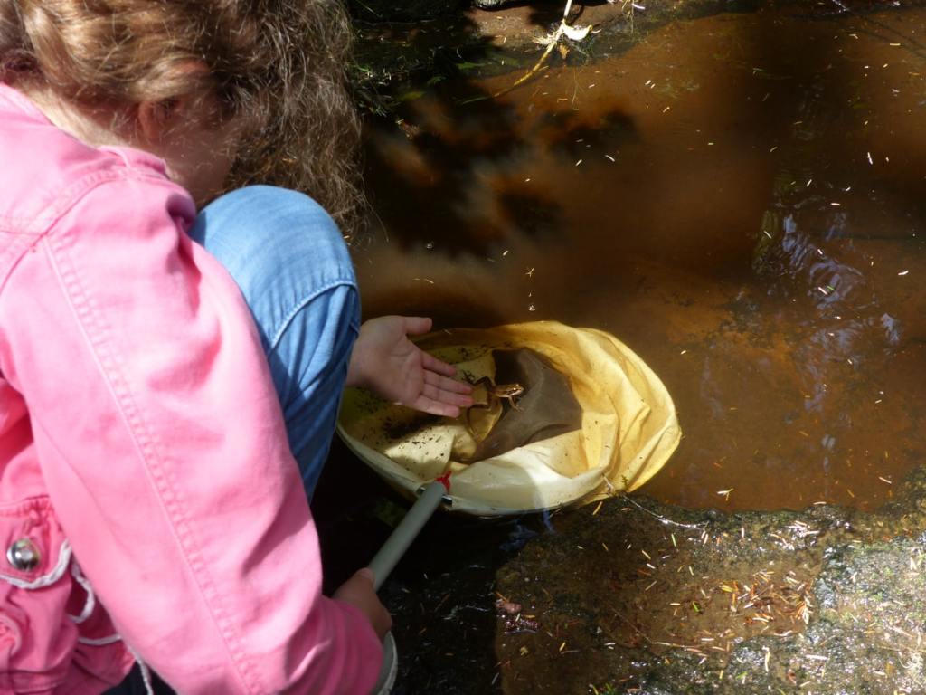 gnat creek oregon hatchery trail