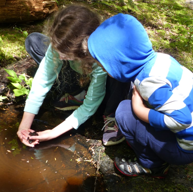 gnat creek oregon hatchery trail