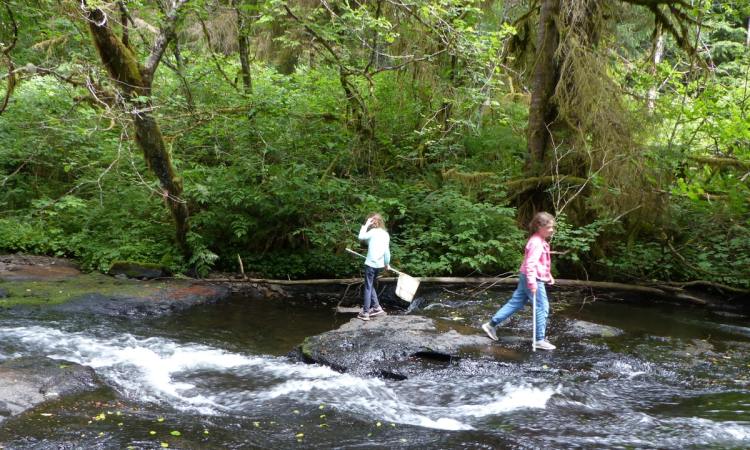 gnat creek clatsop county clatskanie oregon