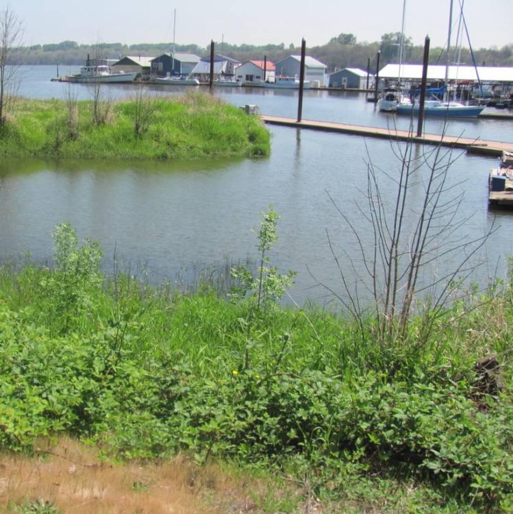 scappoose bay marina marine park oregon