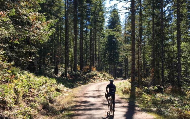 gunners lake lakes columbia county oregon