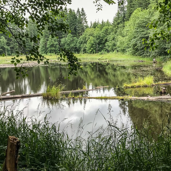gunners lakes scappoose vernonia columbia county