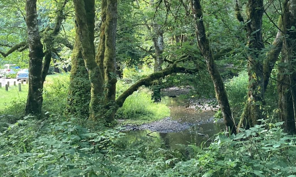 scaponia park columbia county oregon