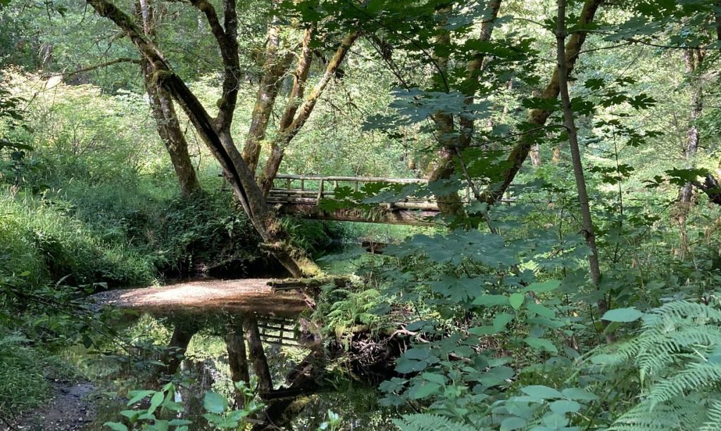 scaponia park columbia county oregon