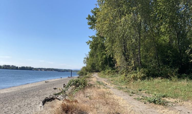 Willow Bar Islands hike Sauvie Island Columbia County oregon