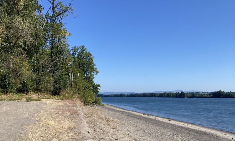 Willow Bar Islands hike Sauvie Island Columbia County oregon