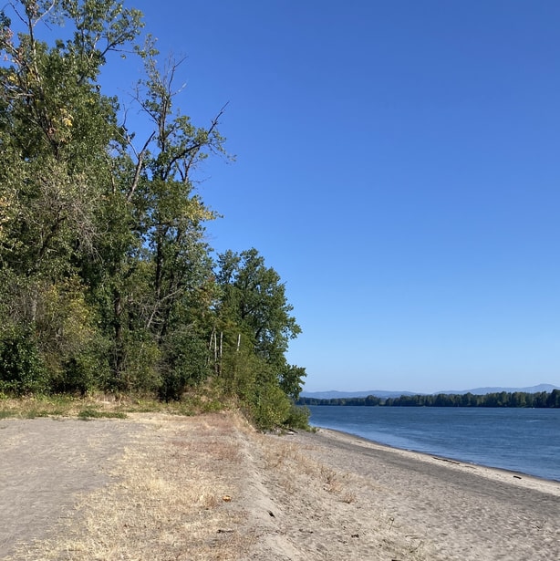 Willow Bar Islands hike Sauvie Island Columbia County