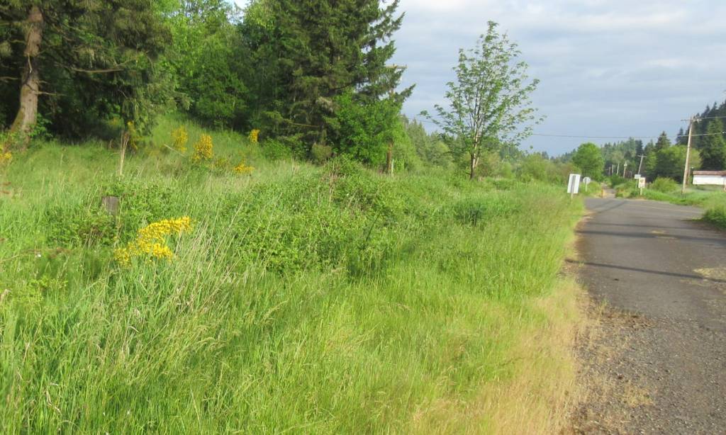 cz crown zellerbach trail pisgah trailhead oregon columbia county