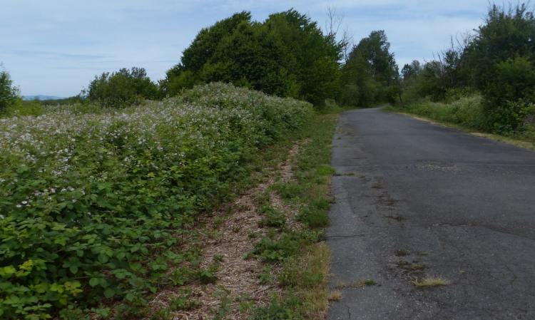 crown z trail cz chapman landing scappoose oregon