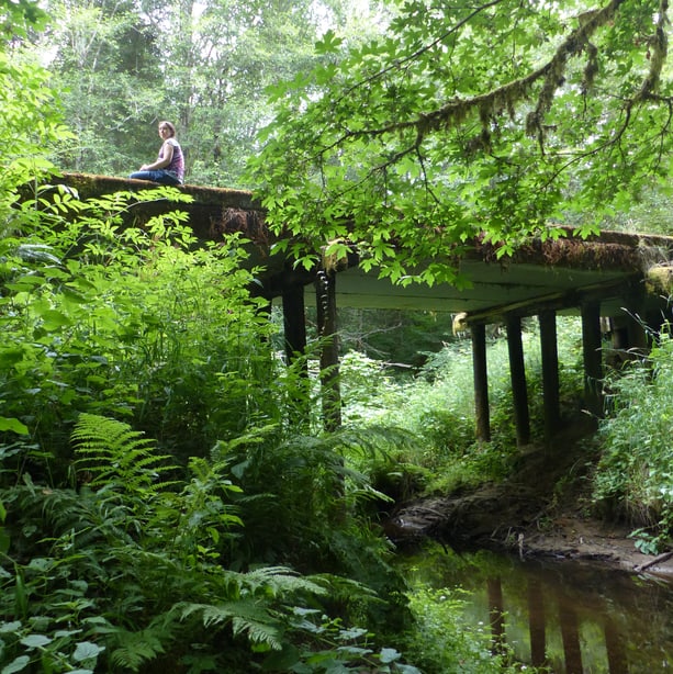 cz trail crown zellerbach vernonia pittsburg oregon wilark trailhead