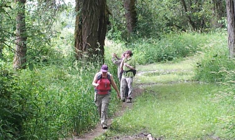 Warrior Point trail sauvie island columbia county oregon