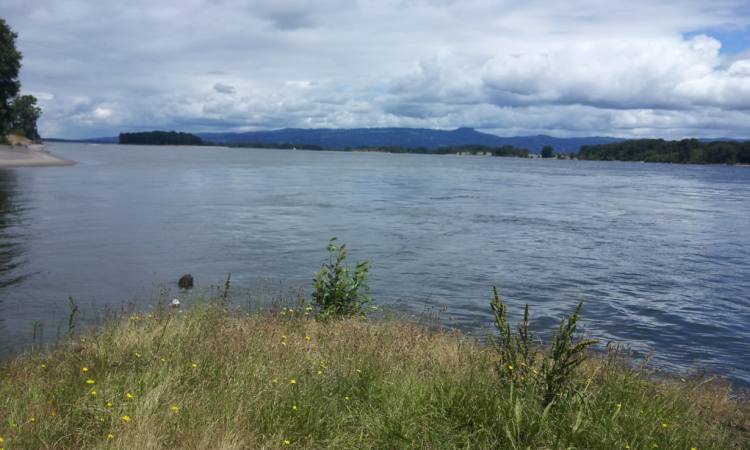 Warrior Point trail sauvie island columbia county oregon