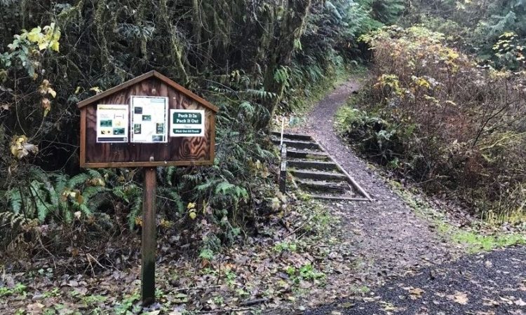 Gnat Creek Campground trail clatskanie oregon