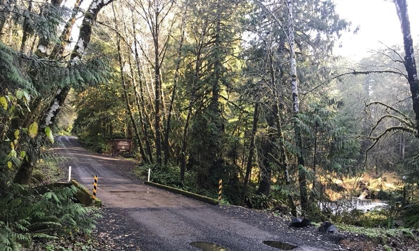 Gnat Creek Campground clatskanie oregon