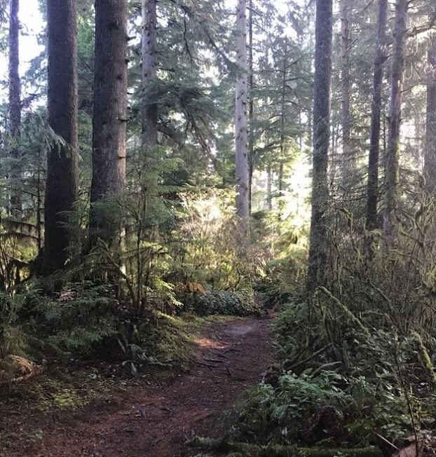 Gnat Creek Campground clatskanie oregon