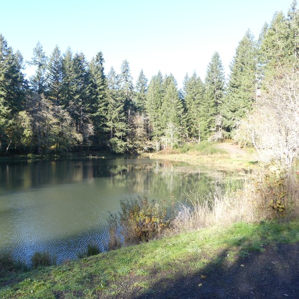 Salmonberry Reservoir St. Helens Tree Farm Columbia County Oregon