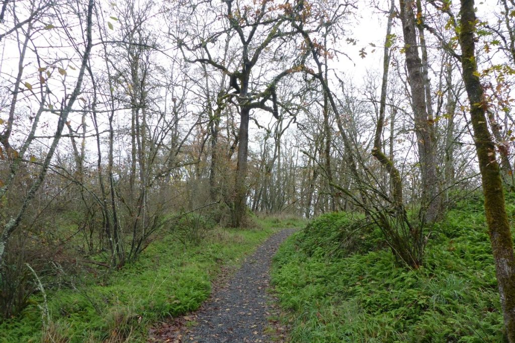 nob hill nature park st. helens oregon columbia county