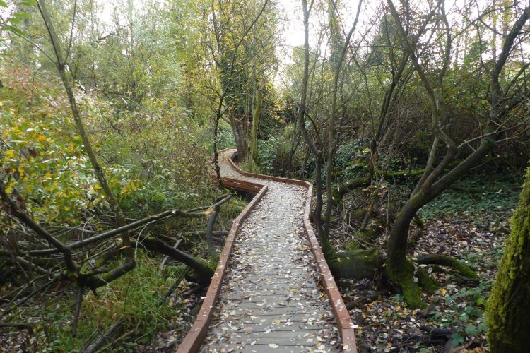 nob hill nature park st. helens oregon columbia county