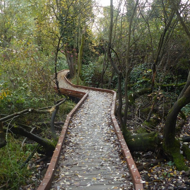 nob hill nature park st. helens oregon columbia county