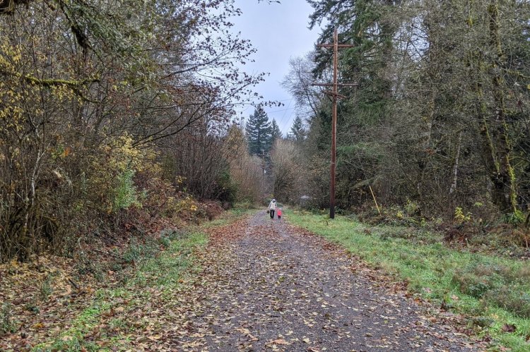 cz trail crown zellerbach ruley trailhead st. helens columbia county oregon
