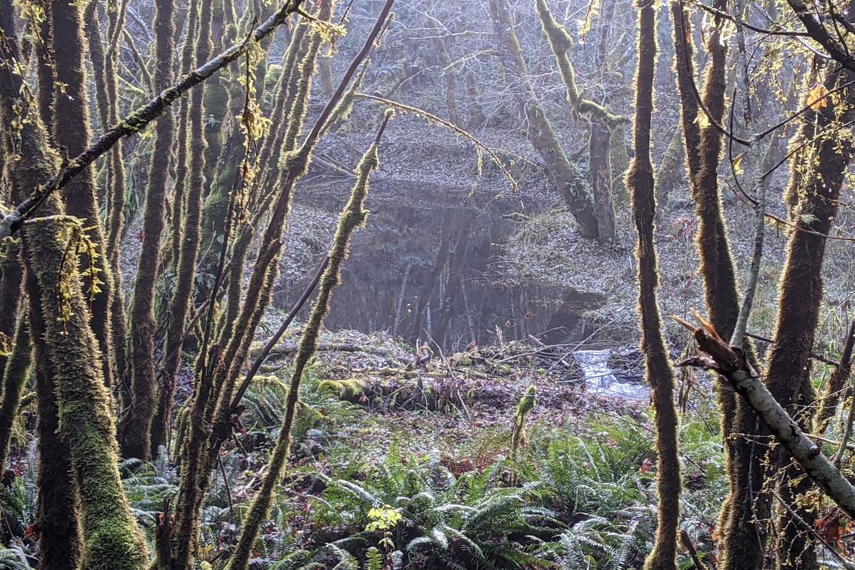 beaver dams columbia county oregon