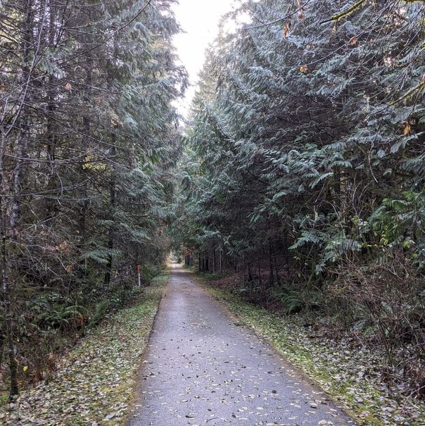 Banks-Vernonia Trail forest columbia county oregon