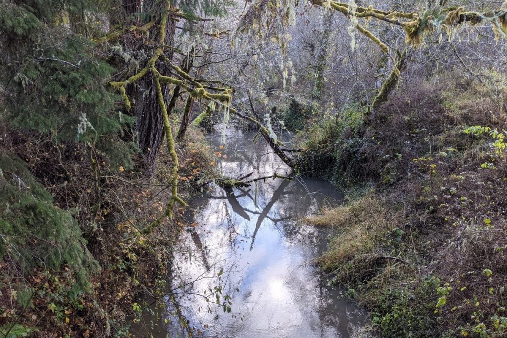Banks-Vernonia Trail linear park columbia county