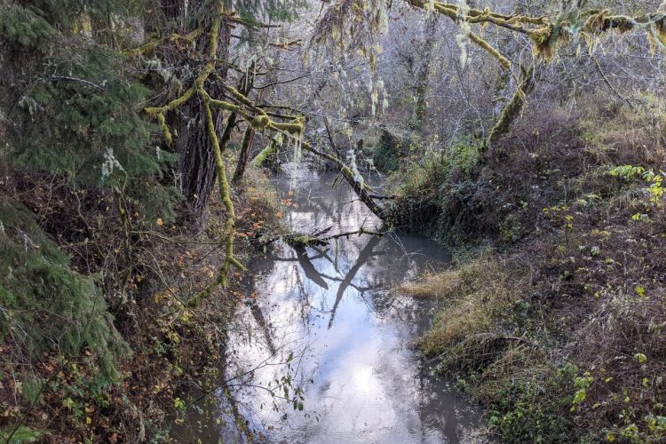 Banks-Vernonia Trail linear park columbia county