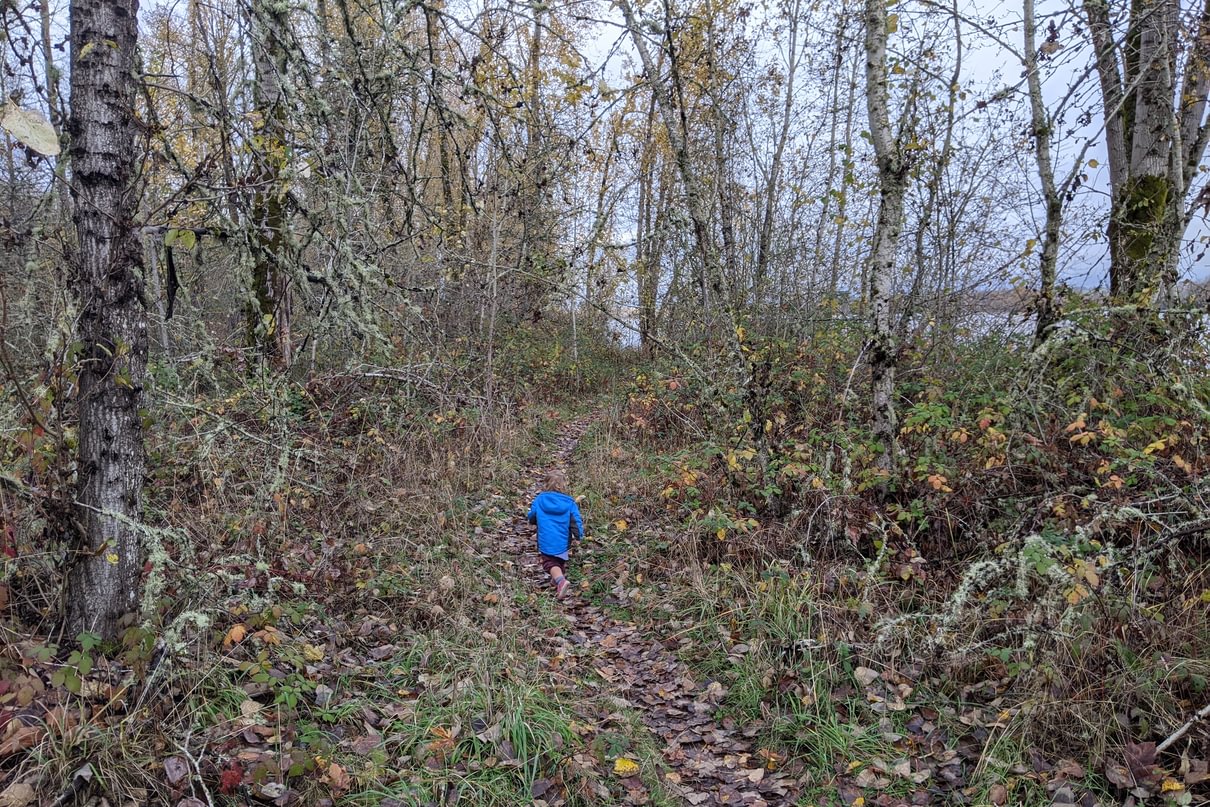 Willow Bar Islands Trail Sauvie Island columbia county oregon