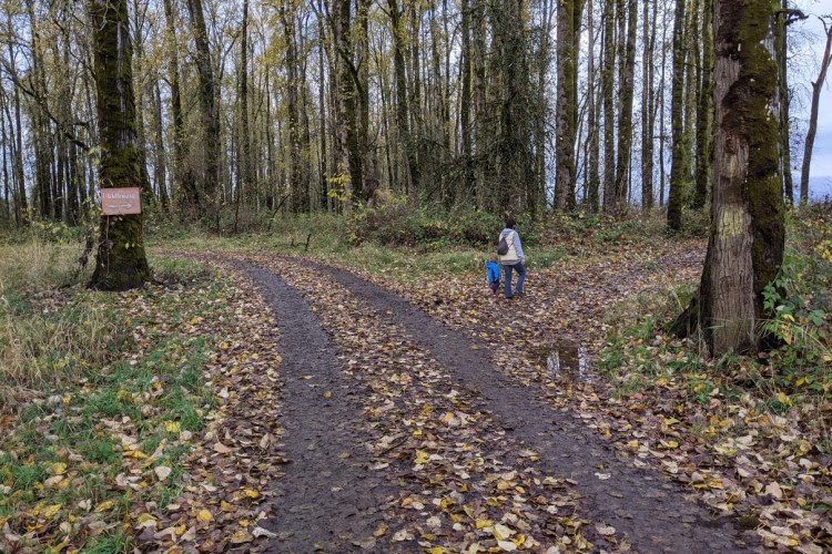 Warrior Point trail sauvie island columbia county oregon