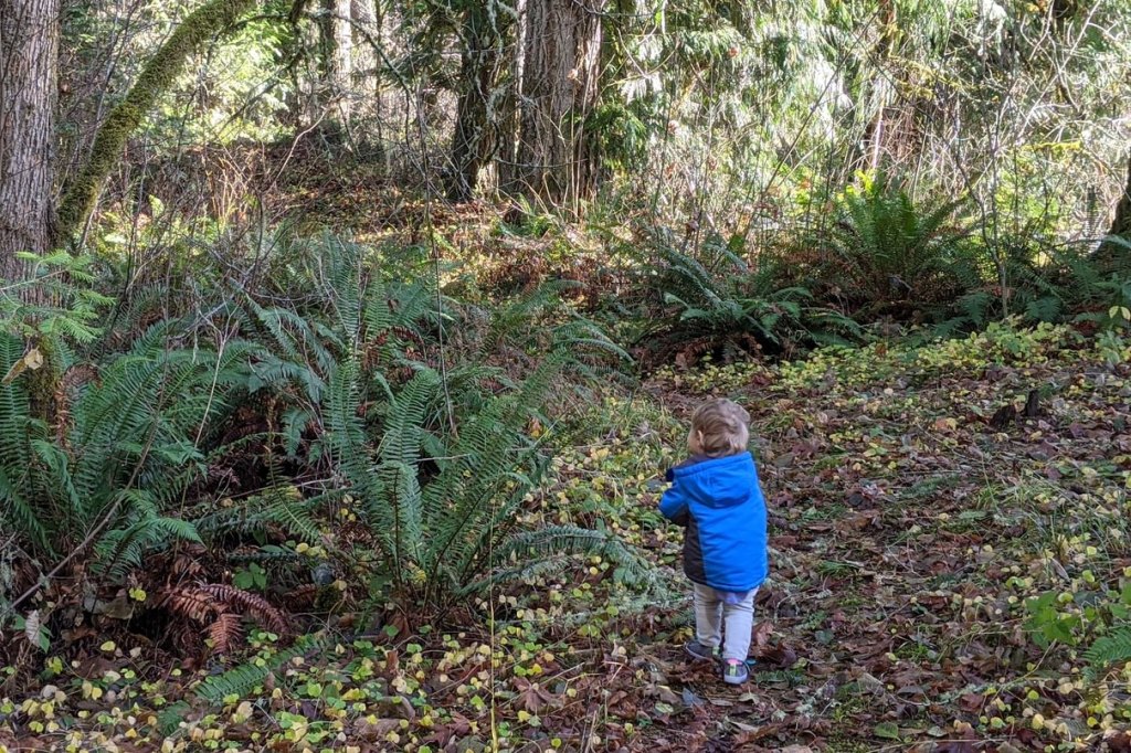 Nehalem River Park and Campground vernonia oregon columbia county