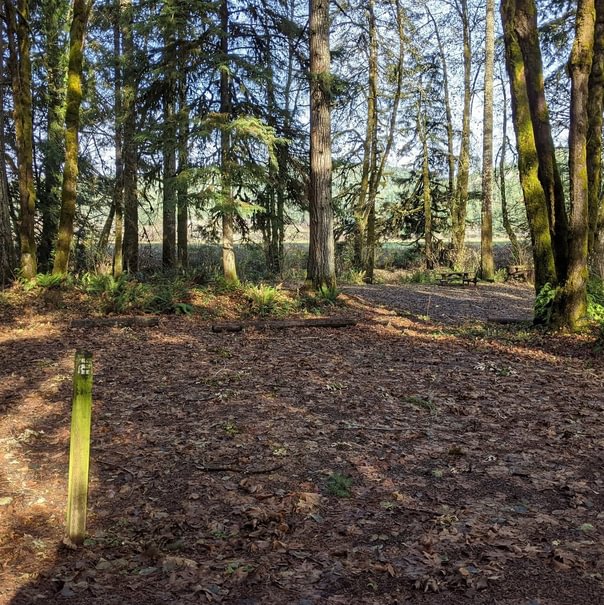 nehalem river park and campground campsite